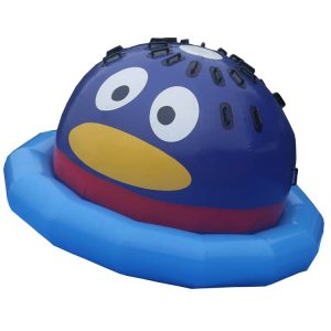 Water Park UFO